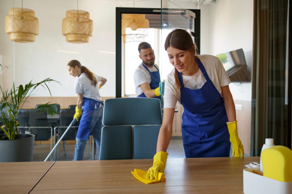 Cleaning Service In Hamilton